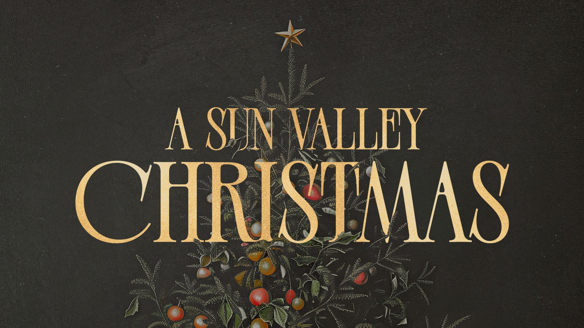 Houston's First Message: A Sun Valley Christmas