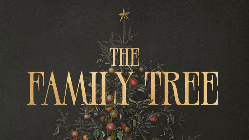 SVCC Series Artwork: The Family Tree