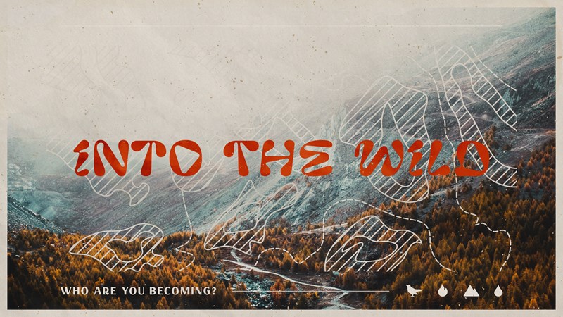 SVCC Series Artwork: Into the Wild